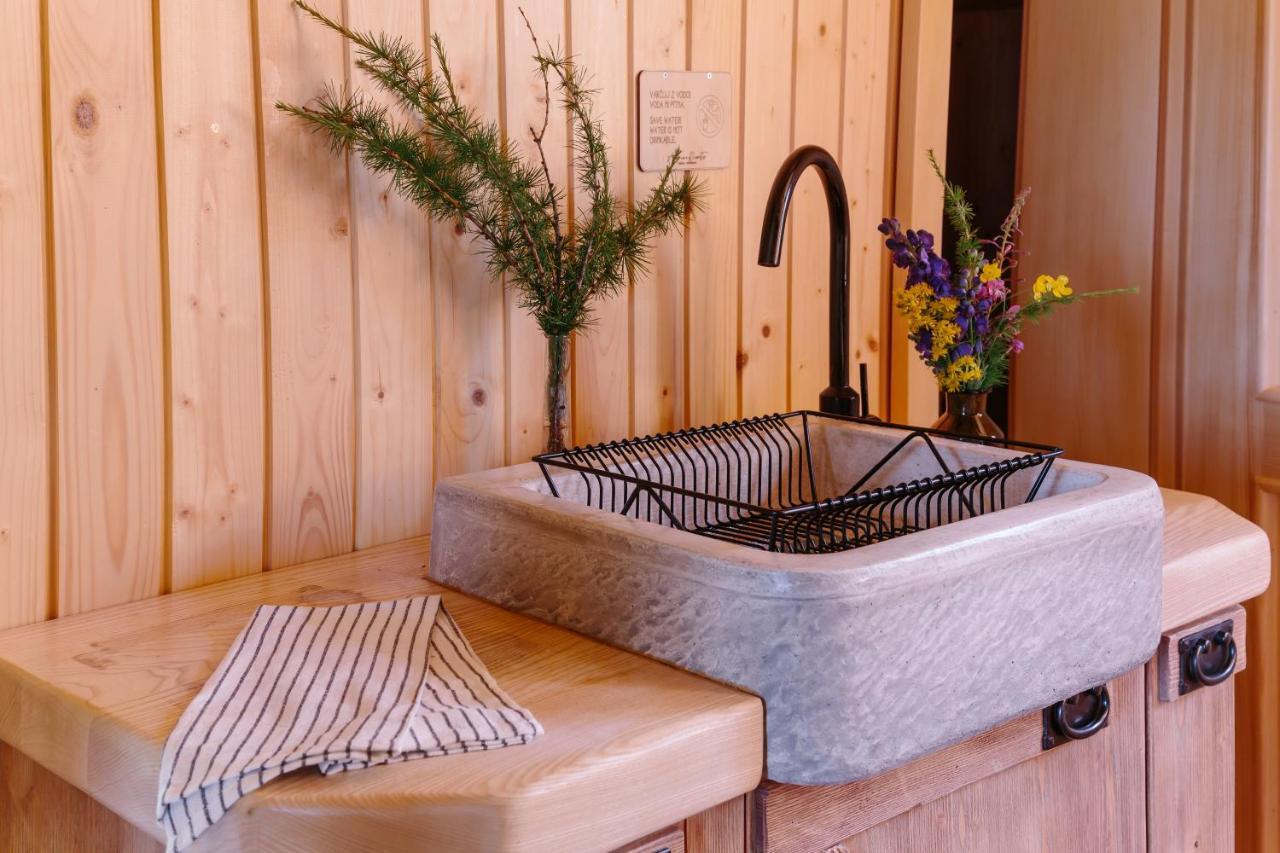 Chalet Orlica Velika Planina オスレンドネスロヴェンスカ エクステリア 写真