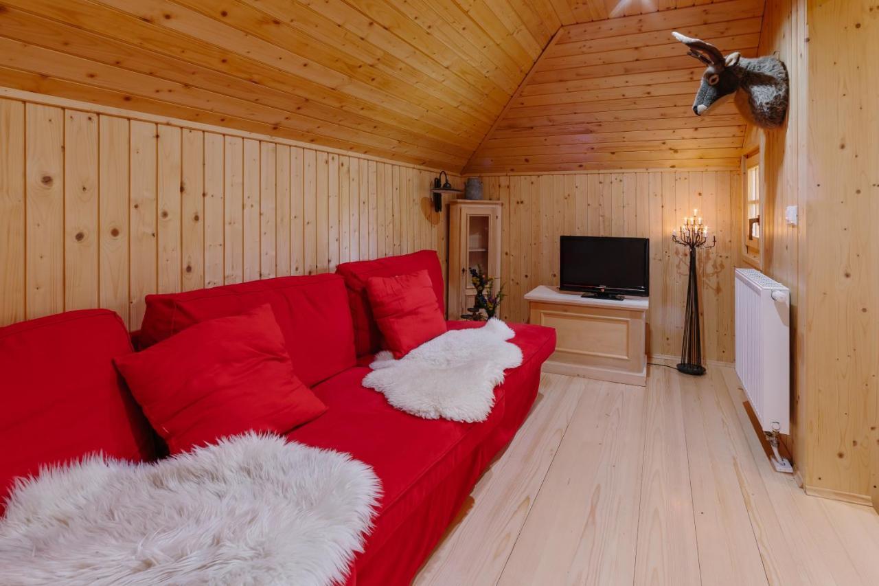 Chalet Orlica Velika Planina オスレンドネスロヴェンスカ エクステリア 写真