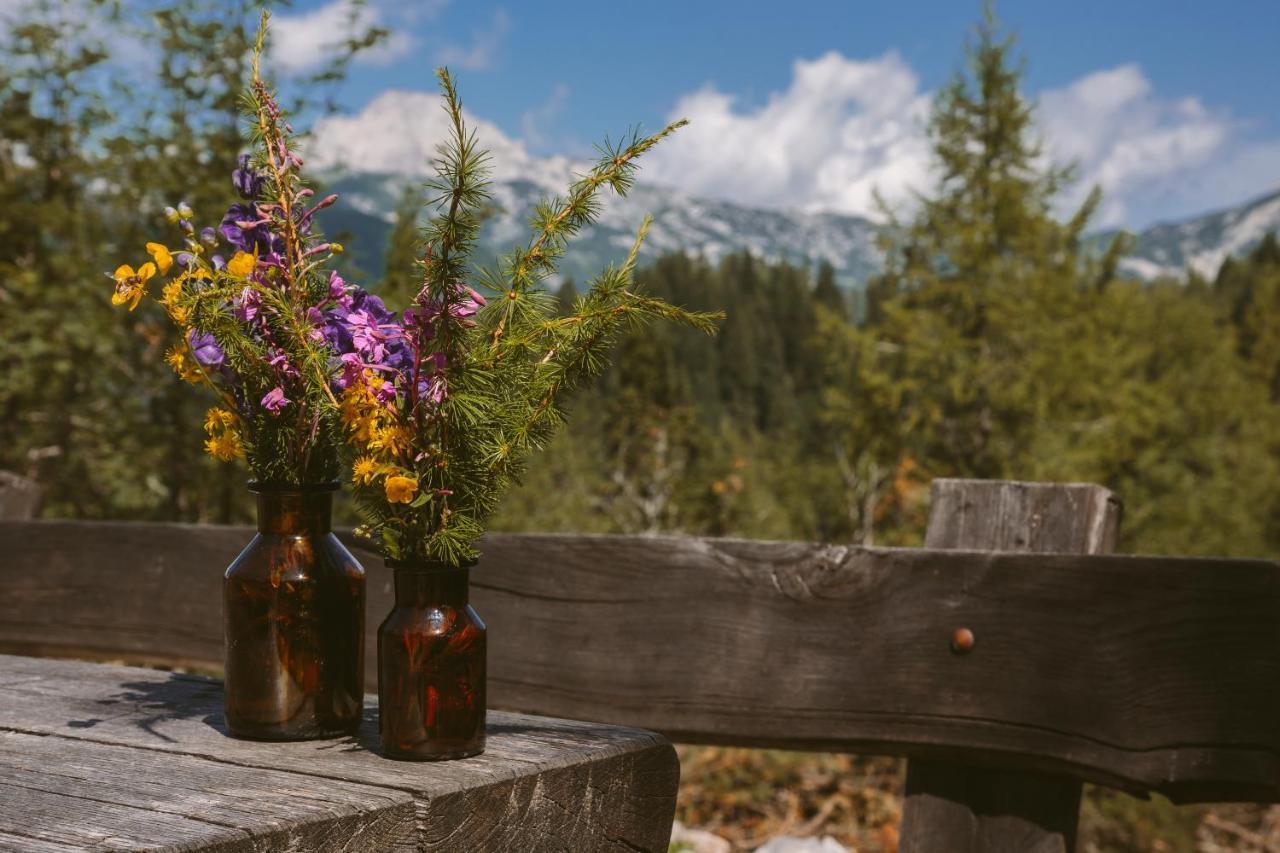 Chalet Orlica Velika Planina オスレンドネスロヴェンスカ エクステリア 写真